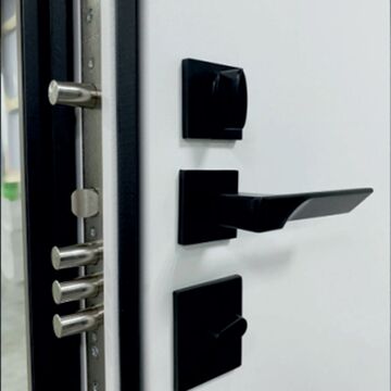 Входная дверь Concept Trend MAXI Mirror, Владимирская фабрика дверей VFD