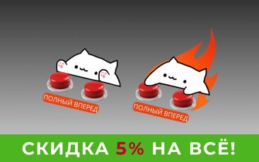 Скидка 5% на входные двери из ассортимента магазина в Междуреченске